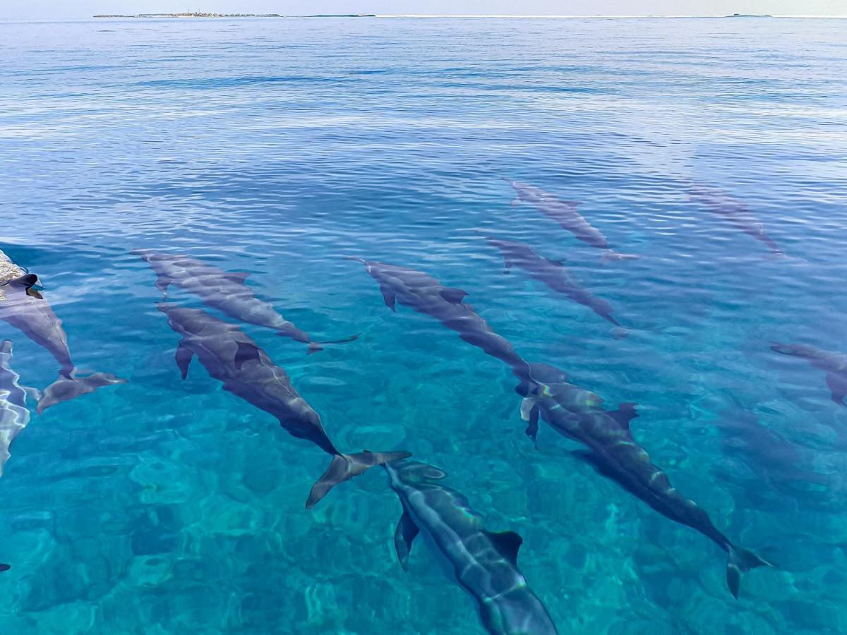 NEMO INN OMADHOO